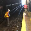 A Goose On The Loose Delays Q Train Service